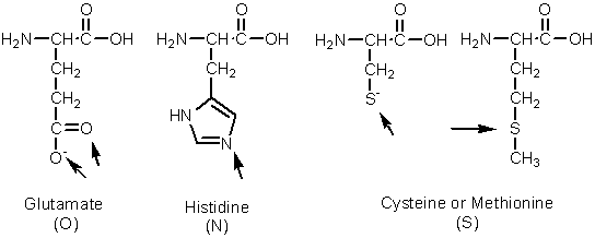metal ion bonding methionine metal ion bonding methionine